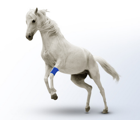 Selbstklebende Bandage Pet Protection